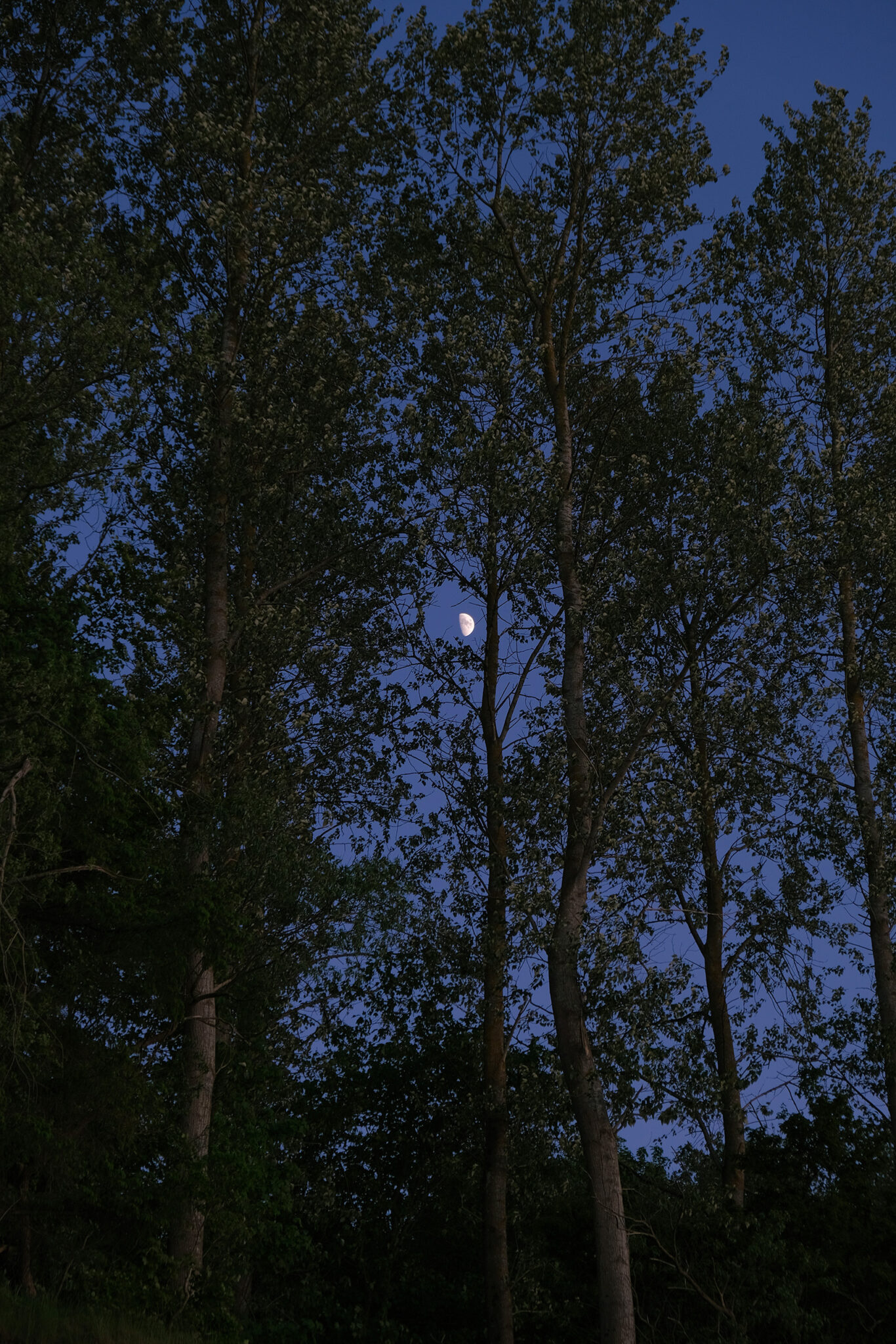DSCF7151